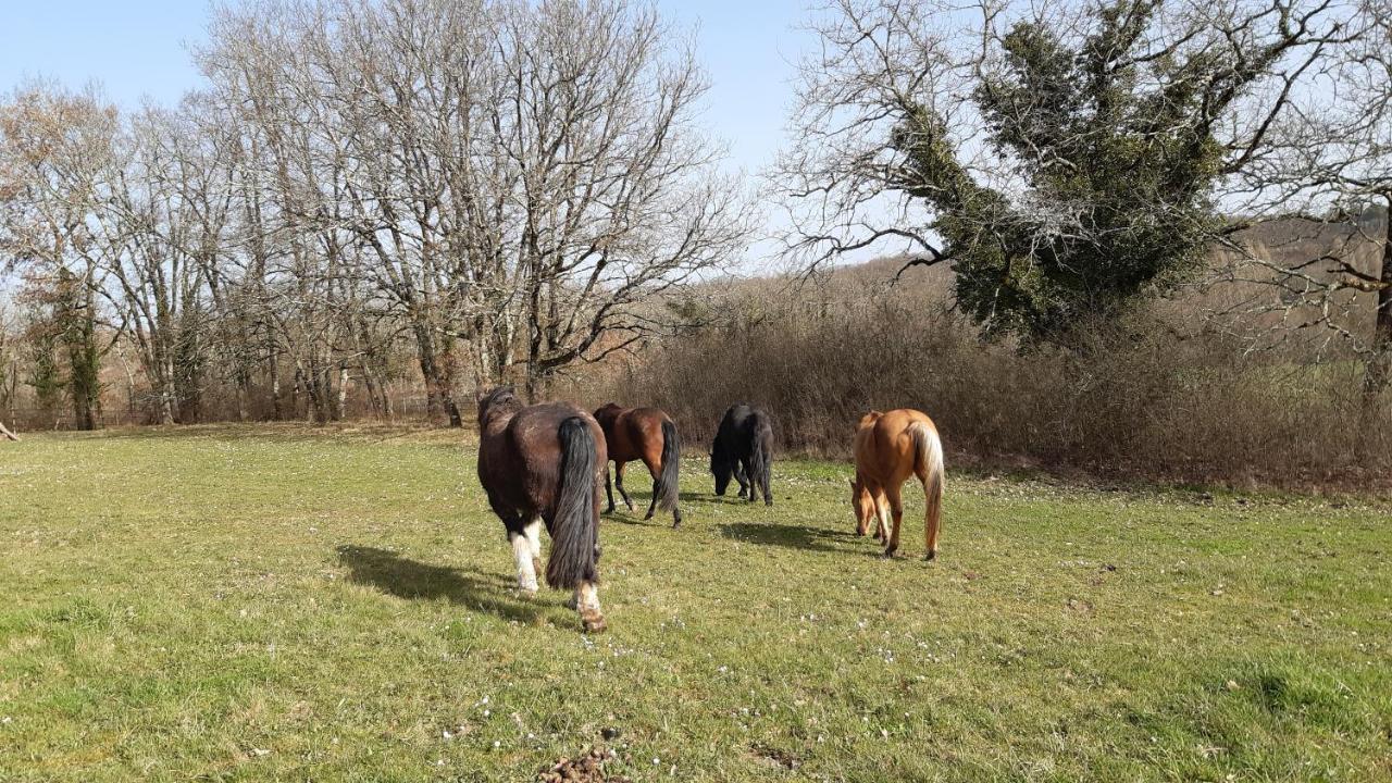 Ferme Brasseyrou - B&B Classique Devillac Exterior photo